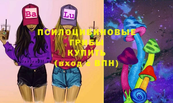 молекула духа Переславль-Залесский