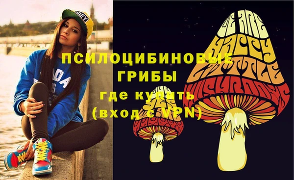 молекула духа Переславль-Залесский