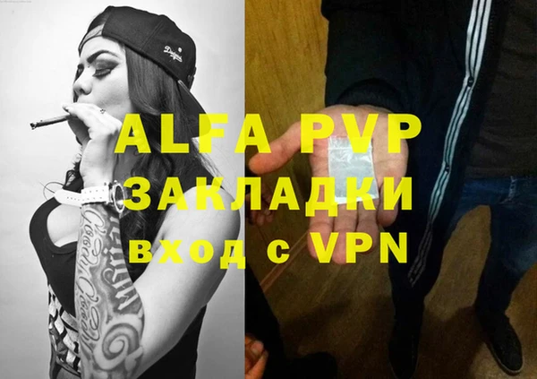 гашик Алзамай