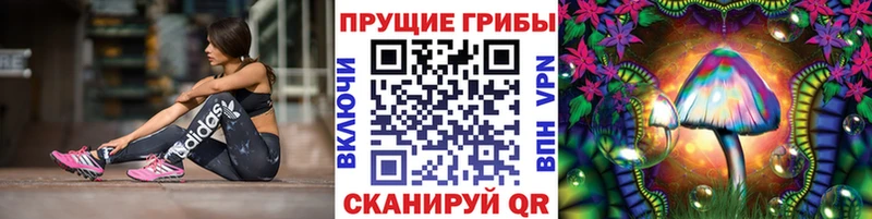 Галлюциногенные грибы мухоморы хочу наркоту Тотьма